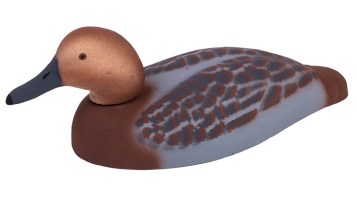 red-headed duck duck